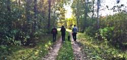 Tre personer och en liten hund går bort från fotografen på en grusväg med gräs och gröna träd runtomkring.