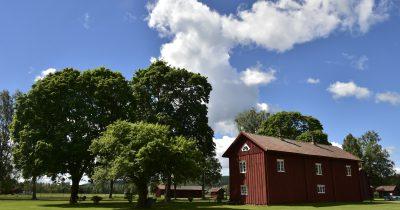 Uppleva och göra