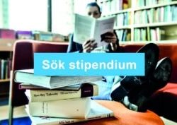 Kvinna sitter i biblioteket och läser en bok.