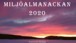 2021 års framsida på miljöalmanackan som förställer en rosa solnedgång över ett vintrigt landskap.