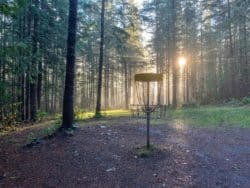 discgolfkorg i skog