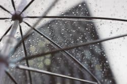 Regn och paraply
