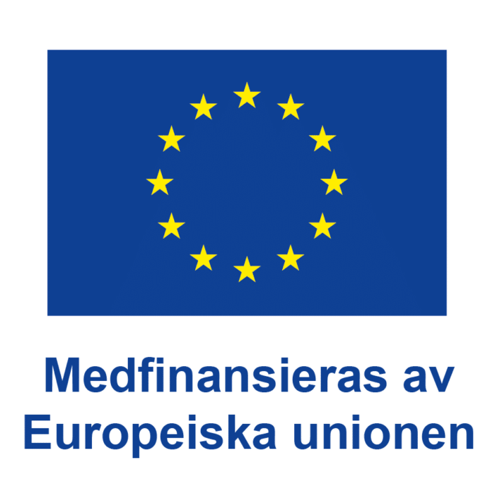 Logotyp Europeiska unionen