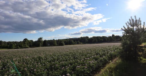 FAQ – Frågor och svar
